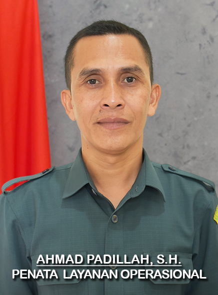 33_padil.jpg