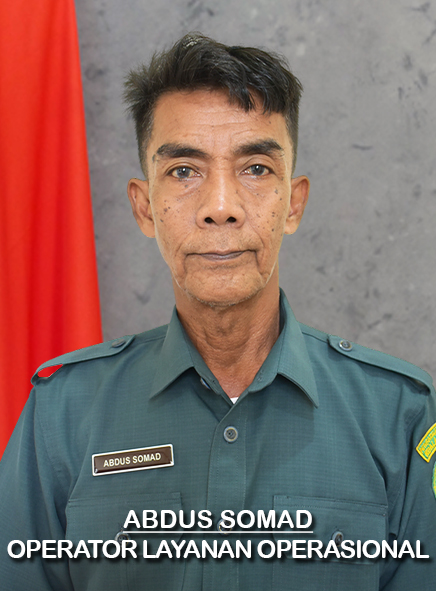 35_somad_2.jpg